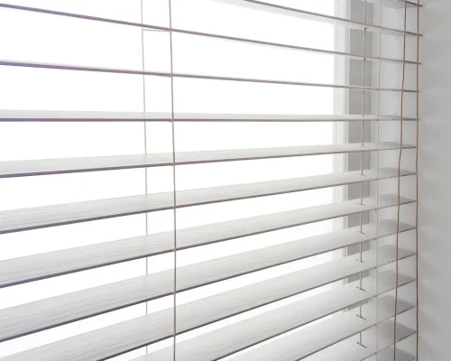 Blinds Pest Control Services in Coimbatore