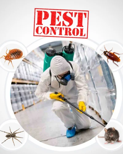 Pest-Control-Services-Coimbatore