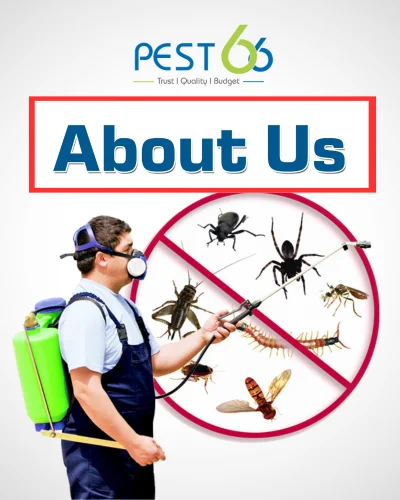 Pest-Control-Services-in-Coimbatore