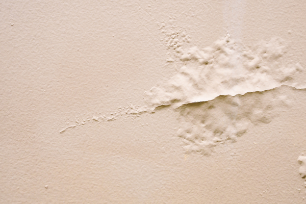 Waterproof Coating