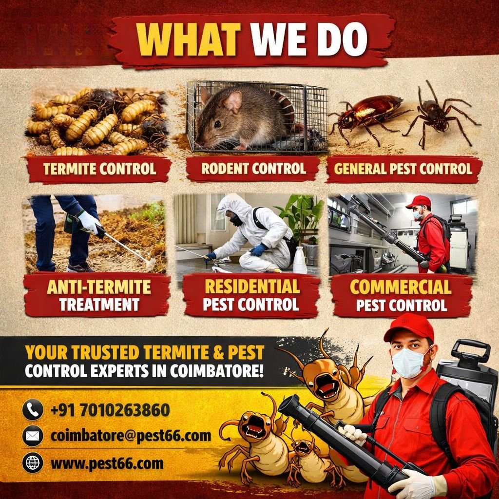 What We Do Termite Control Services in Coimbatore